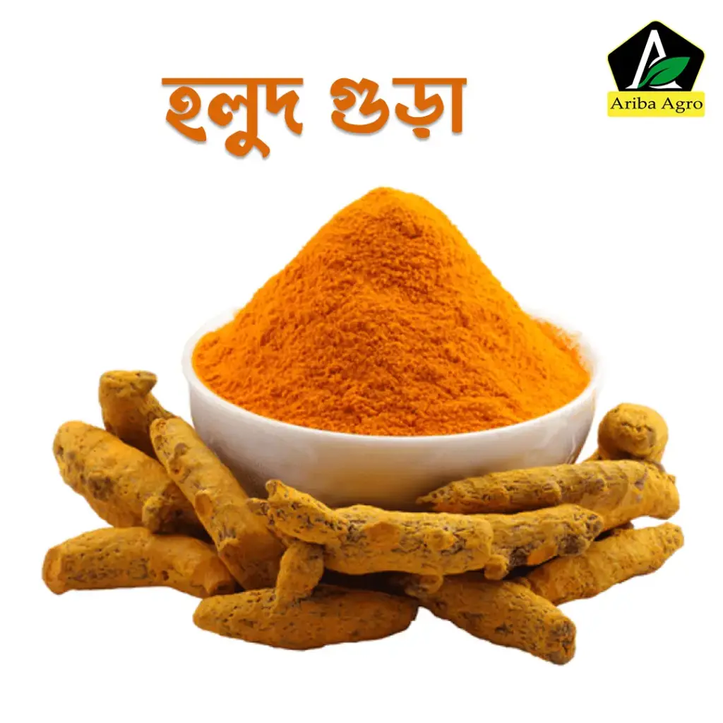 Turmeric Powder(Holud-gura) (হলুদ গুঁড়া)