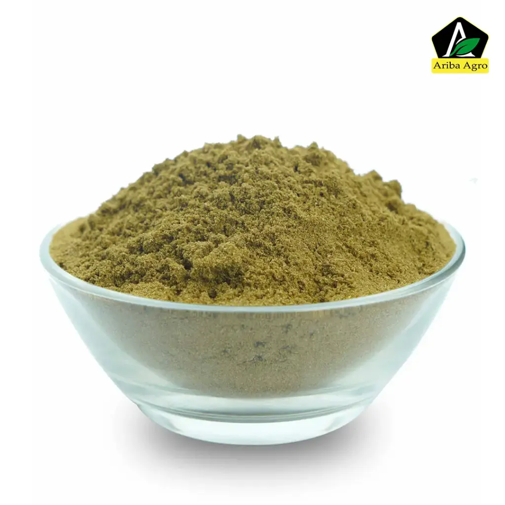 Coriander Powder (Dhonia Gura) (ধনিয়া গুঁড়া)