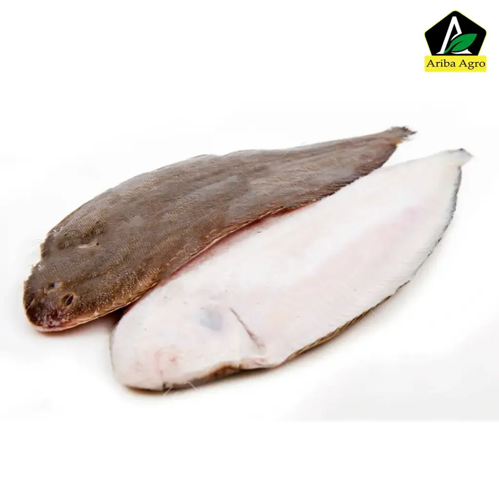 Sea Sole Fish Whole (Size: Medium)