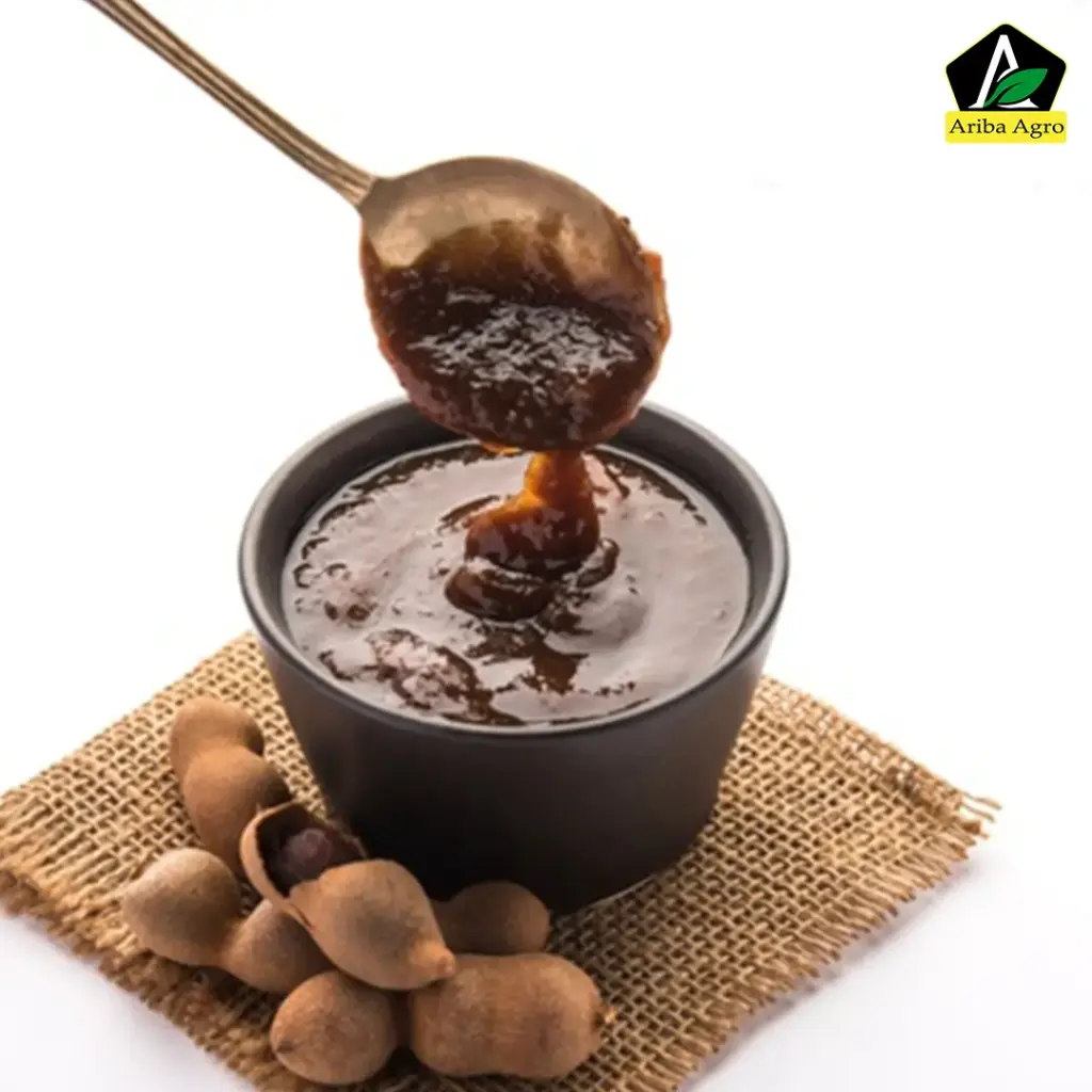 Tamarind Chutney (তেঁতুল চাটনি)(200g)
