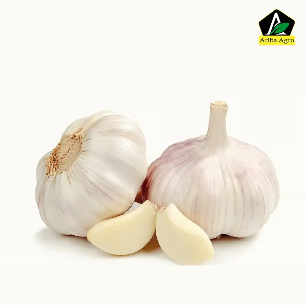 Desi Garlic – ডেশি রসুন