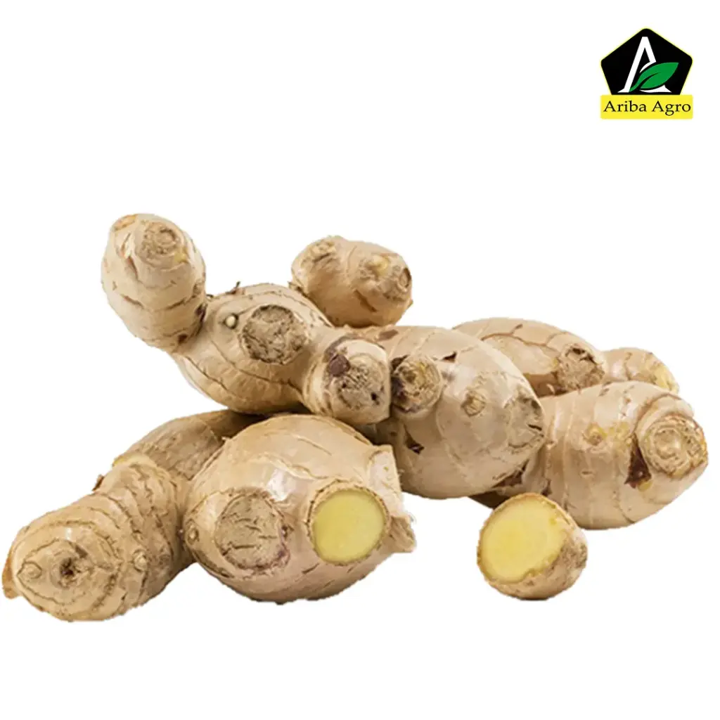 Ginger Chaina (Ada) – আদা