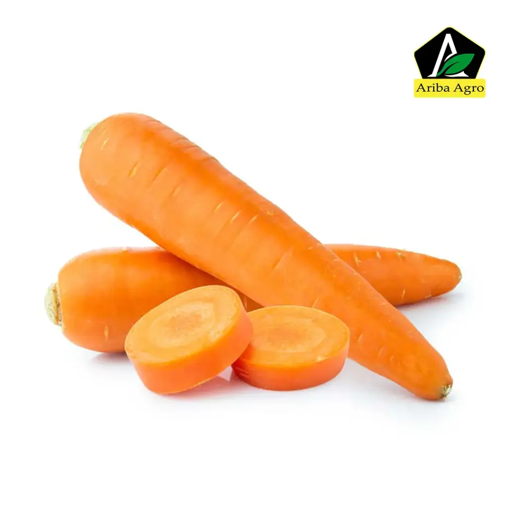 Carrot – গাজর