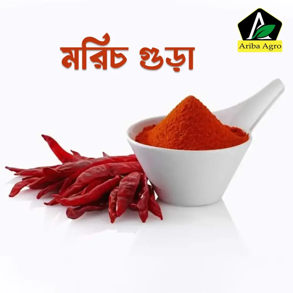 মরিচের গুড়া (Chili Powder)