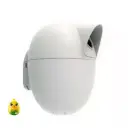 RFL Pakhir Basha (Bird Nest) 