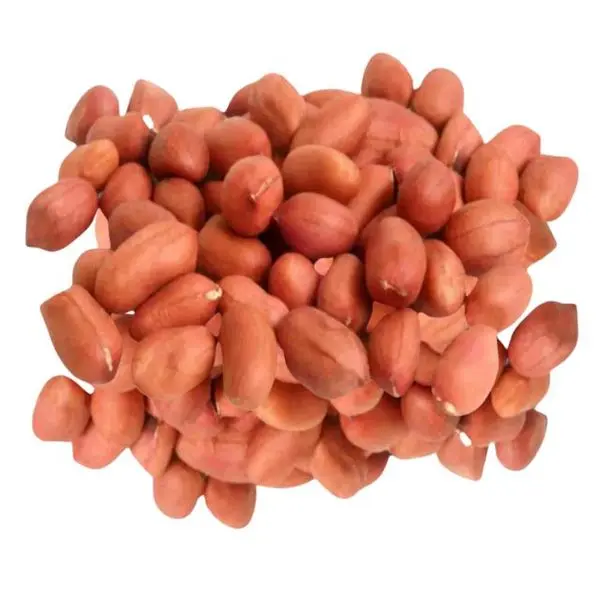 Katcha China Badam