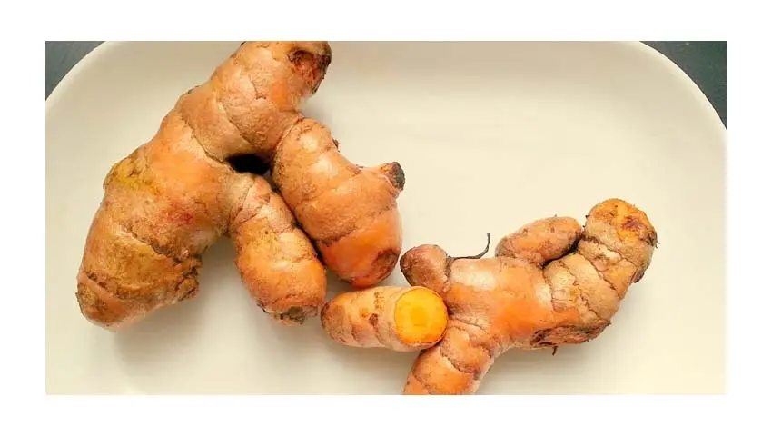 Kaca Holud – কাঁচা হলুদ 