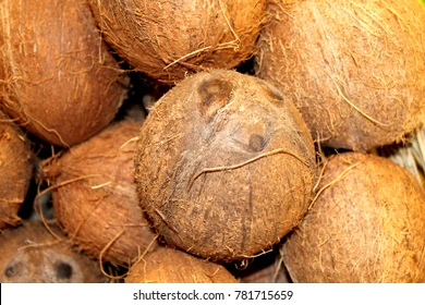 Coconat- (নারিকেল)