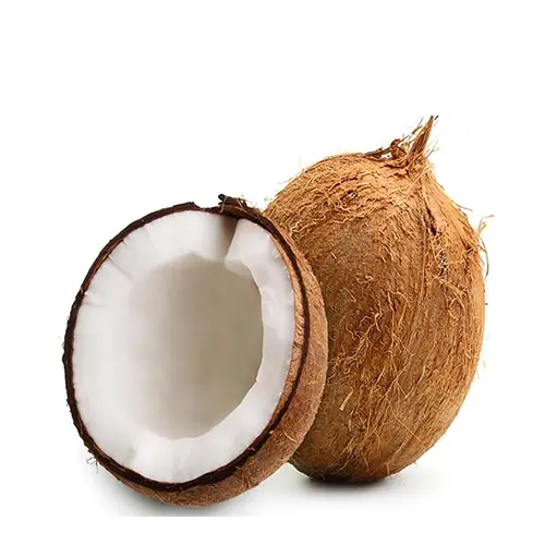 Coconut- (নারিকেল)