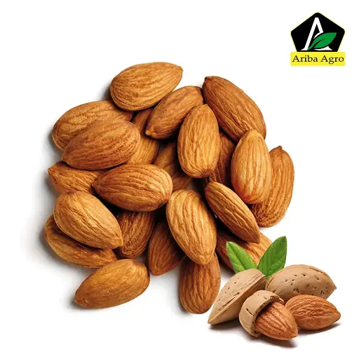 Kath badam-কাঠ বাদাম