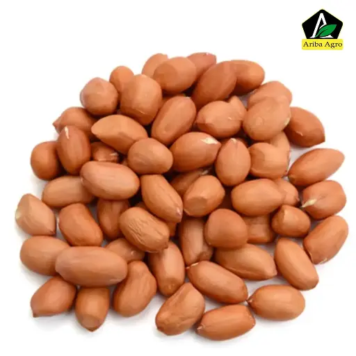 দেশি চিনা বাদাম কাঁচা