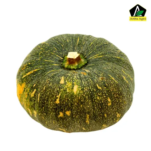 Hilly Sweet Pumpkin (মিষ্টি কুমড়া)