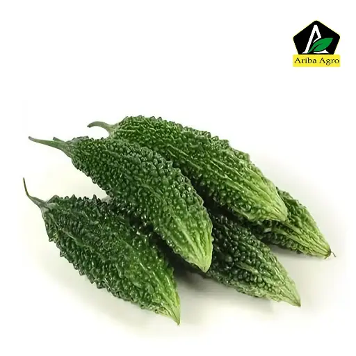 Bitter Gourd – করলা
