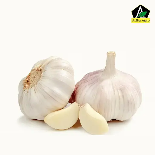 Desi Garlic(rosun) – দেশি রসুন