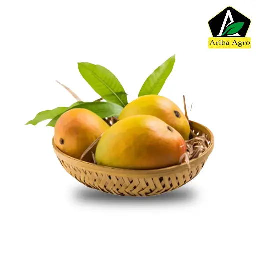 Gobindobhog Mango – (গোবিন্দভোগ আম)