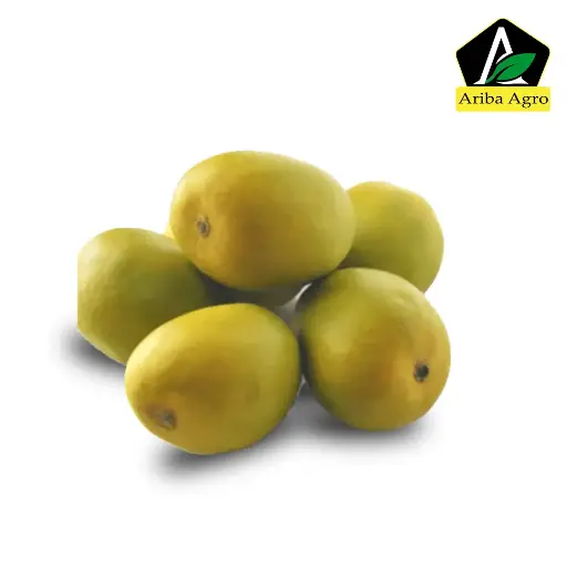 Haribhanga Mango – (হাড়িভাঙা আম)