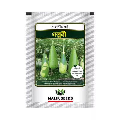 Malik Seeds Lau Beej (Pallabi) 